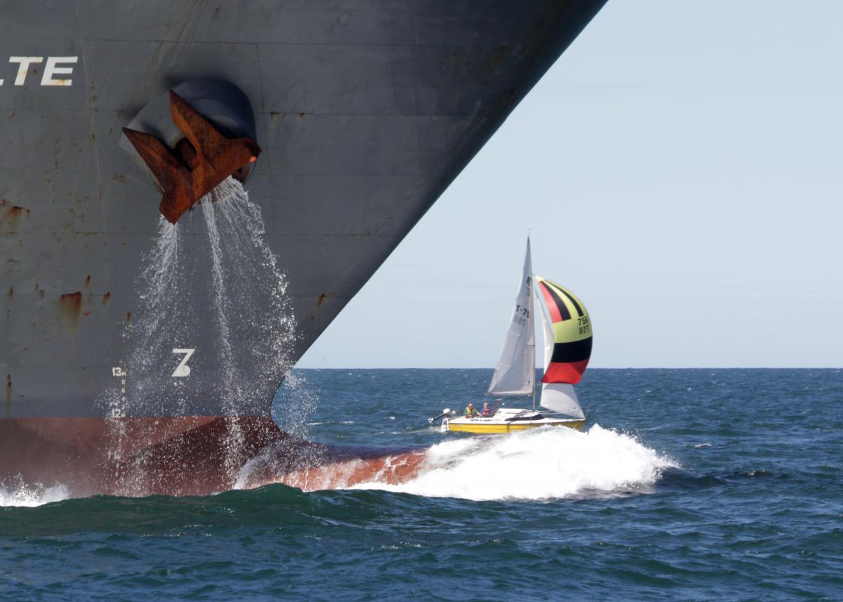 port chalmers yacht club facebook