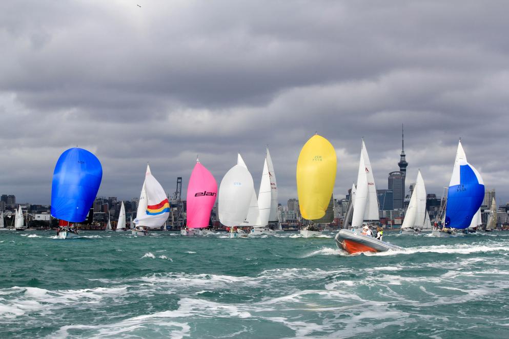 yacht race new zealand