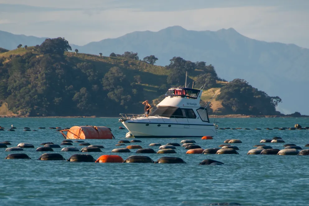 YNZ advocacy policies