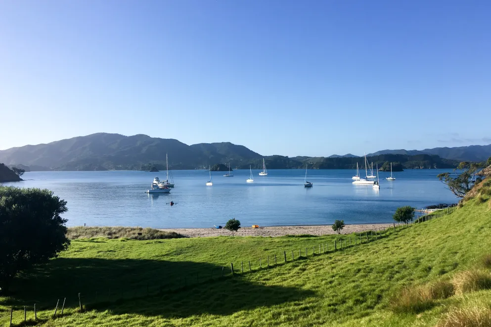 Advocacy submissions