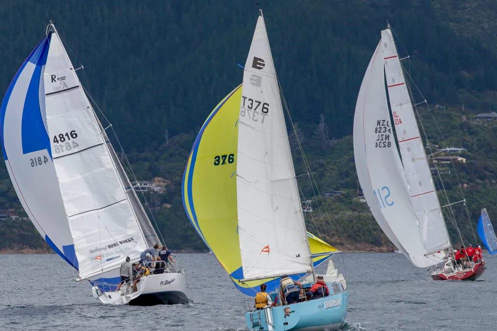 Lawson's Dry Hills New Year Regatta