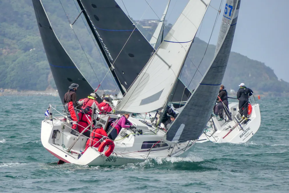 Port Nicholson Regatta