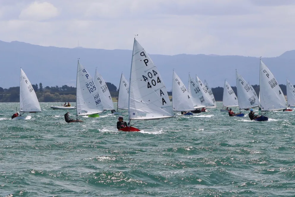 Tauranga Cup