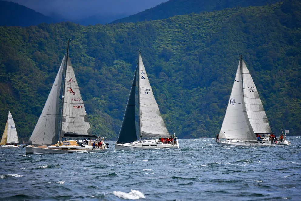Waikawa NY Regatta