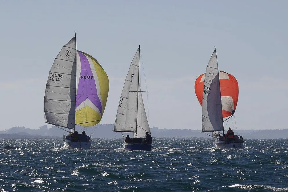 Oyster Regatta