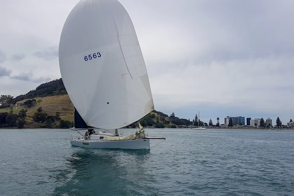 Auckland to Tauranga race