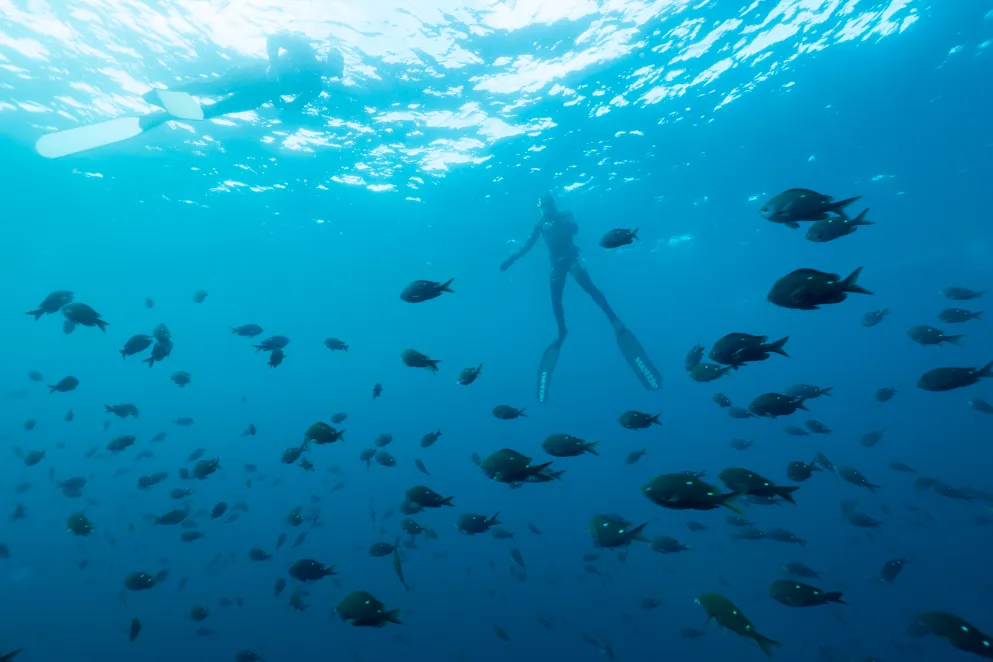 Peter Burling and Blair Tuke