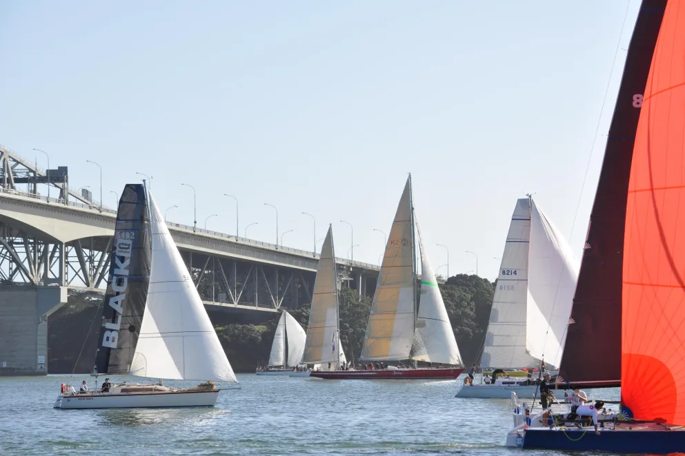 Auckland to Tauranga Race Start