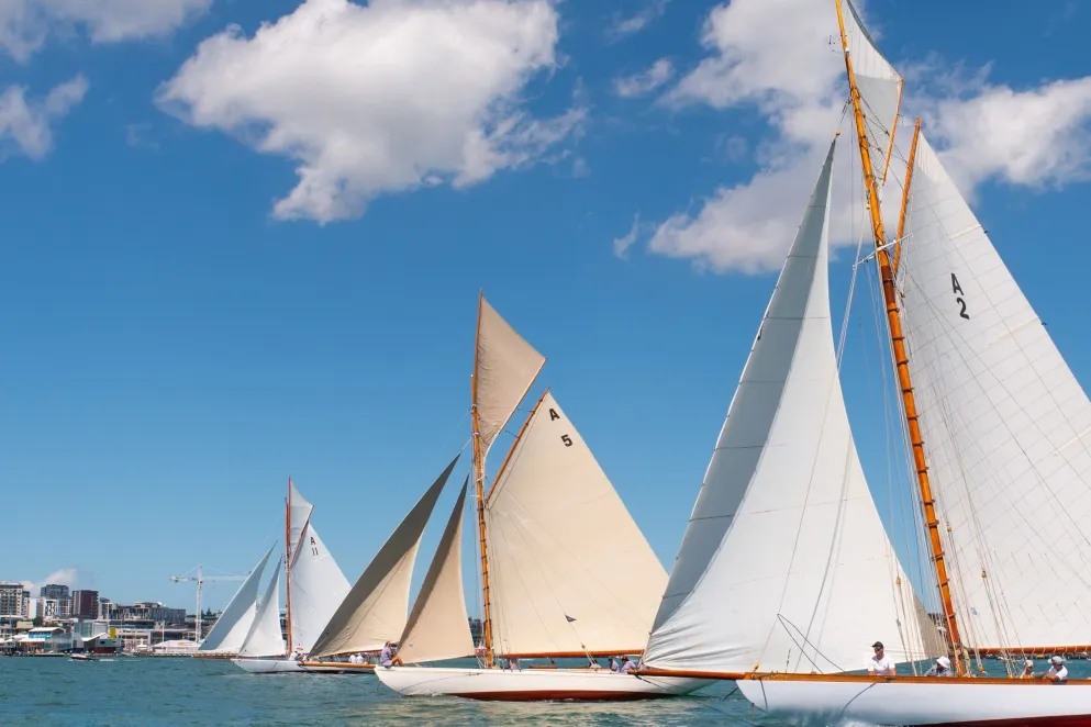 Auckland Anniversary Day Regatta Banner image