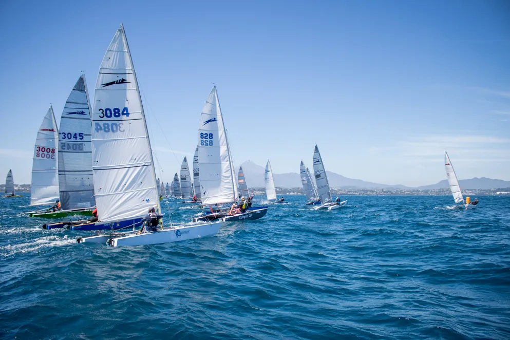 Paper Tiger nationals