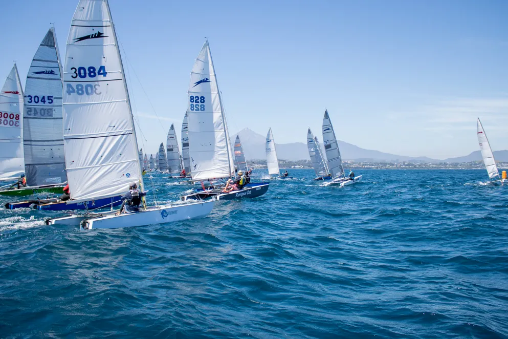 Paper Tiger nationals