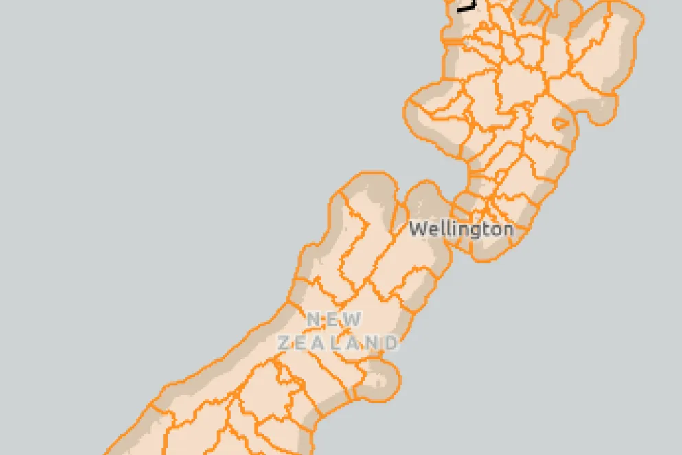 NZ Traffic Light 11Jan22