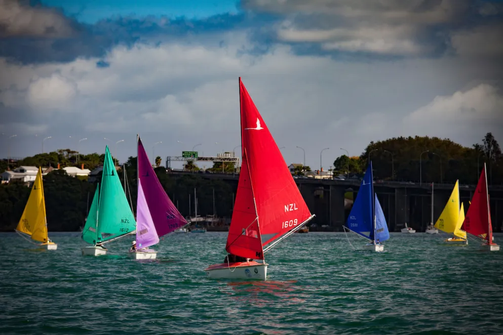 Para sailing has been snubbed by the International Paralympic Committee for the 2028 Games in Los Angeles. Photo / Sailability Auckland
