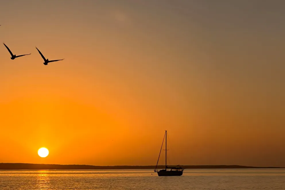 Boats landing