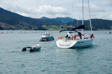 Boat motoring in Sounds