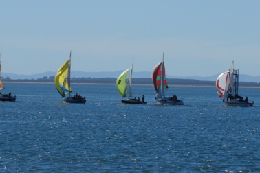 bluff oyster regatta yachts