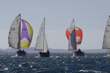 Oyster Regatta