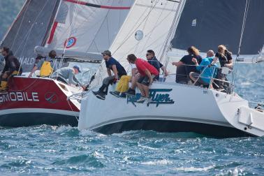 Lawson's Dry Hills New Year Regatta