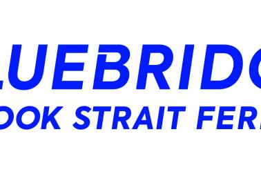 Bluebridge Logo