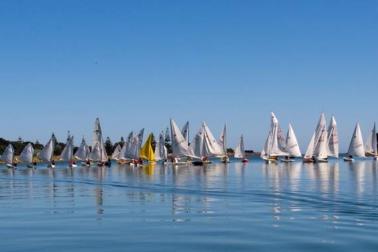 Good dinghy fleets at Waitara Regatta