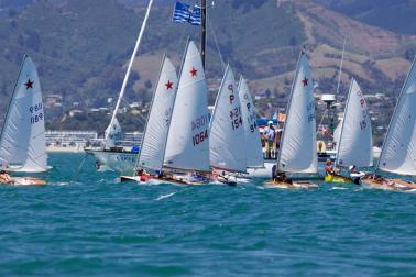 Whakatau regatta- starling