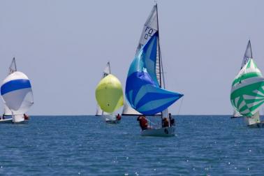 Whakatu regatta