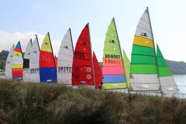 Hobie Cats rigged and ready at the Mercury Bay Boating Club