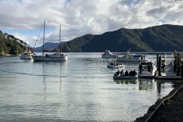 Waikawa Women's Keelboat Regatta