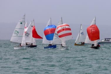 Napier Summer Regatta