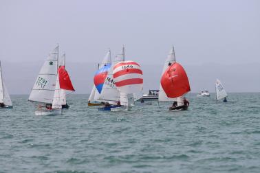 Napier Regatta