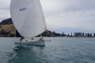 Auckland to Tauranga race