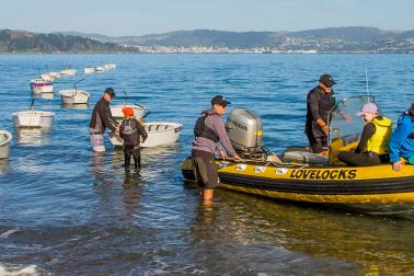 Worser Bay Boating Club