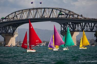 Sailability Auckland - Website banner
