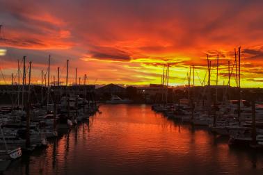 Nelson Yacht Club