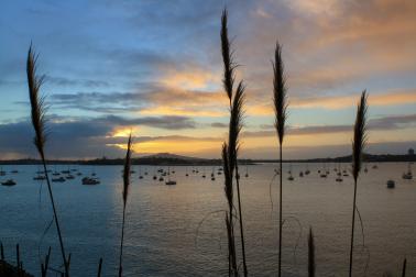 Hauraki Gulf