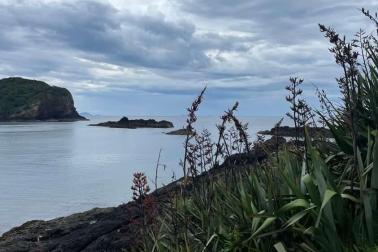 Sailing Camp Tutukaka