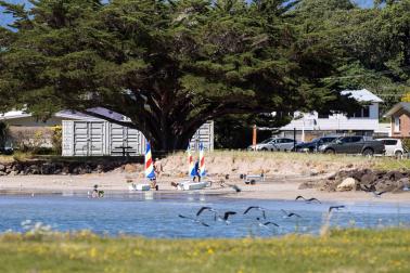 The Mercury Bay Boating Club is recovering from 'massive setbacks' created by the devastating Cyclone Hale.