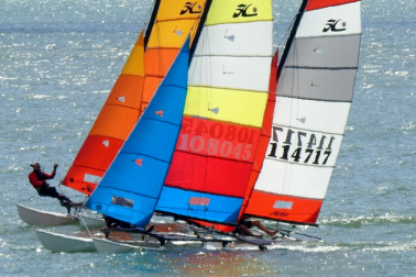 Hobie crop