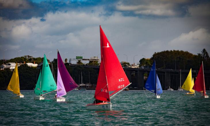 Para sailing has been snubbed by the International Paralympic Committee for the 2028 Games in Los Angeles. Photo / Sailability Auckland 