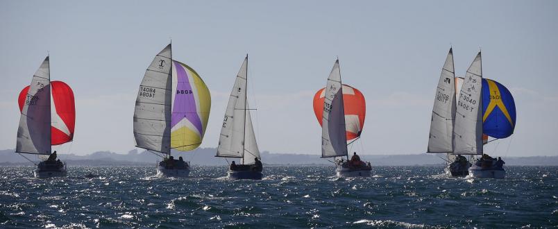 Oyster Regatta