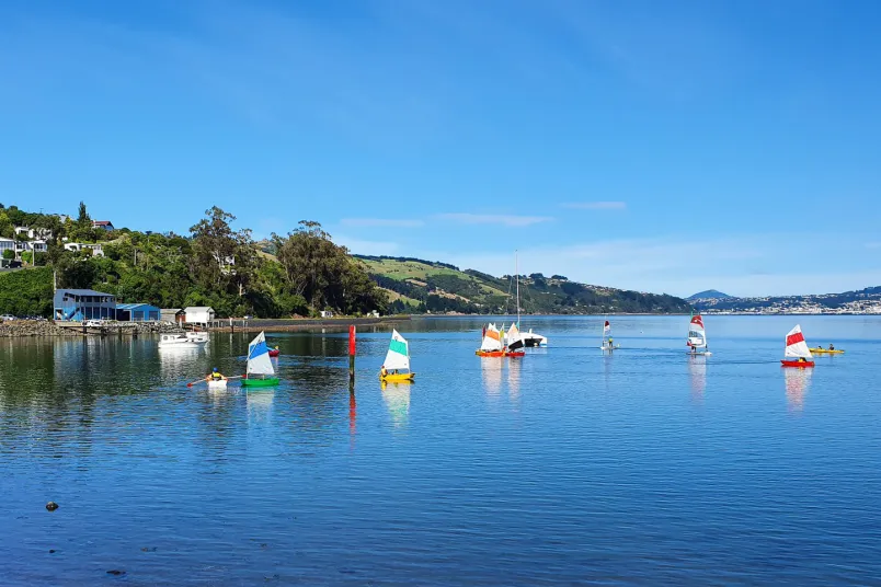 Macandrew Bay Boating Club