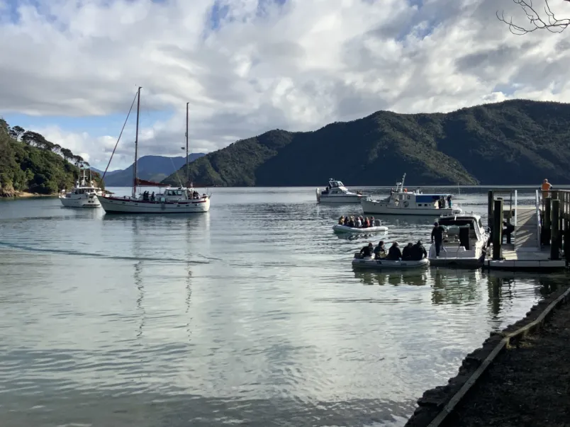 Waikawa Women's Keelboat Regatta