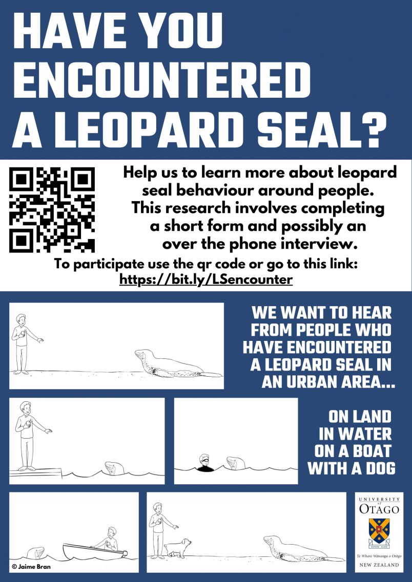 leopard seal