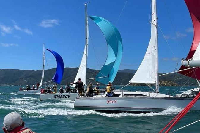 Port Nicholson Regatta