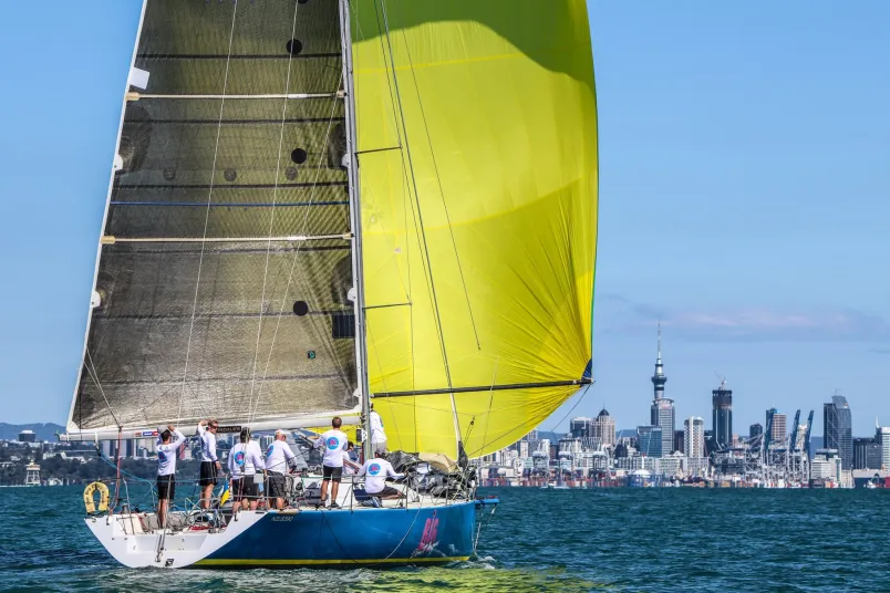 Auckland Regatta