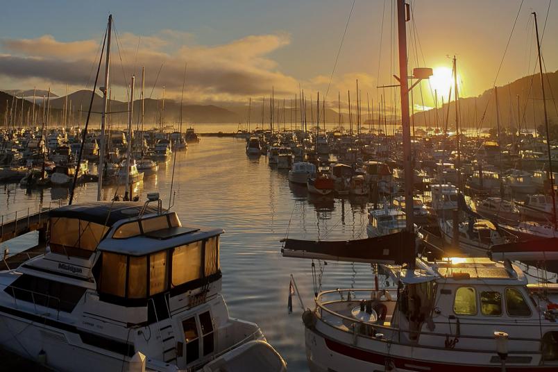 Waikawa Boating Club