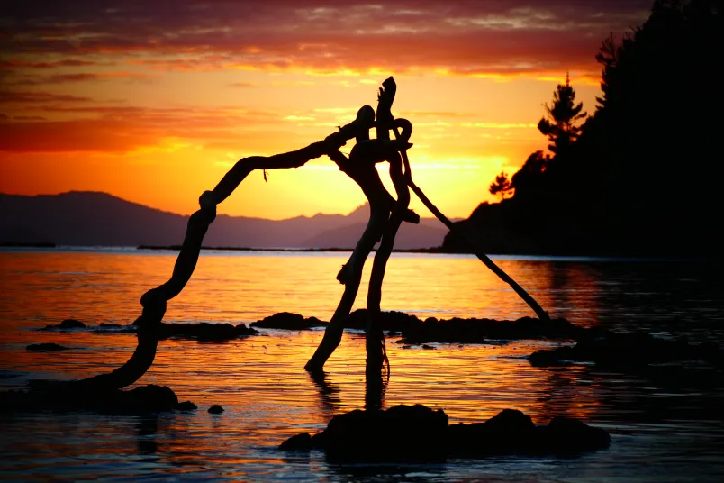 Sustainability - Richard Blakey pic