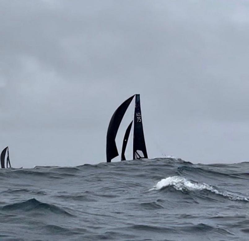 Sailing Camp Tutukaka