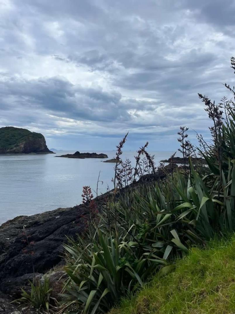 Sailing Camp Tutukaka