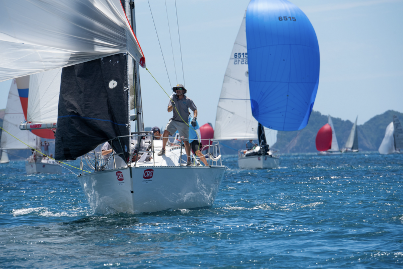 Bay of Islands Sailing Week